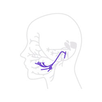 구안와사 미각 손실