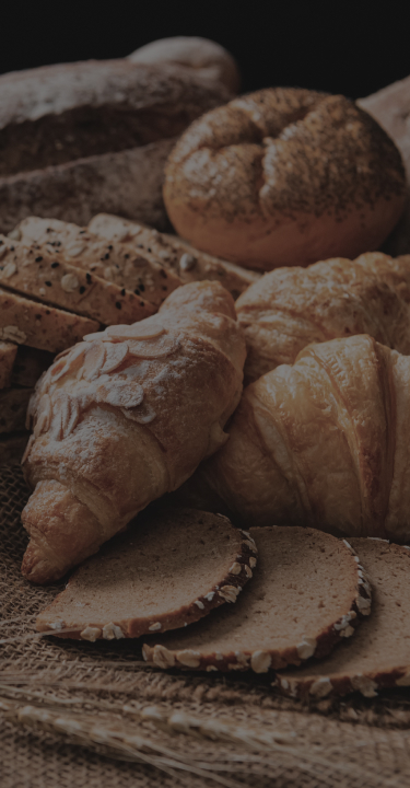 탄수화물 중독 치료