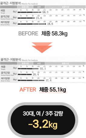 산후 다이어트 인바디 결과2