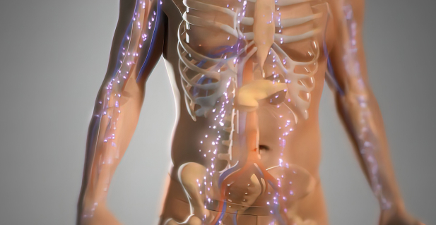 공진단 이미지2