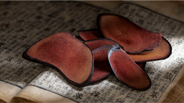 공진단 주요원료 녹용